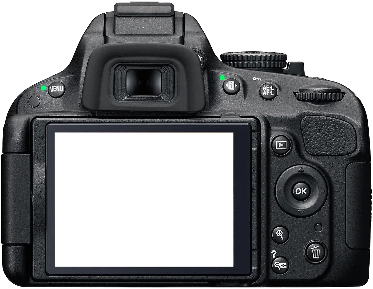 Camera back