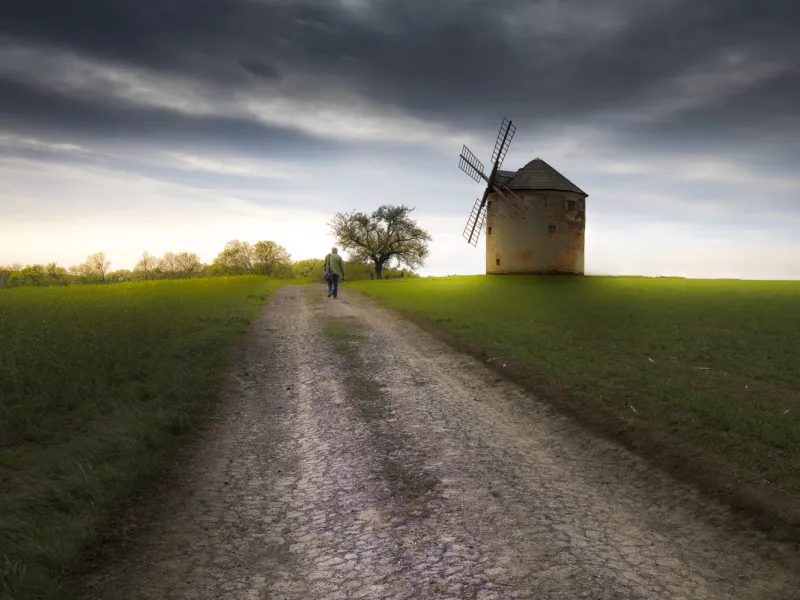 Wind whisperer