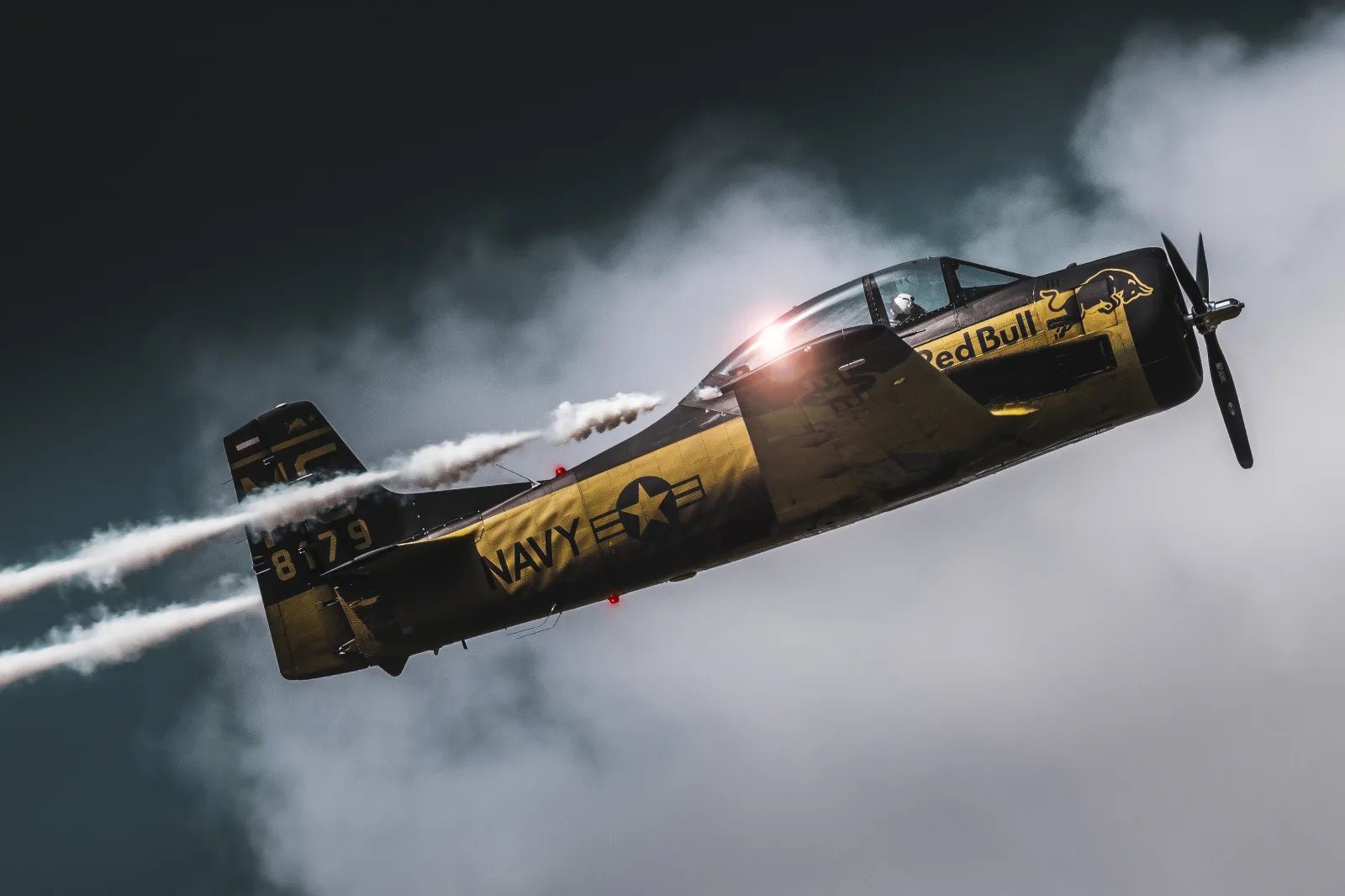 Flying bulls